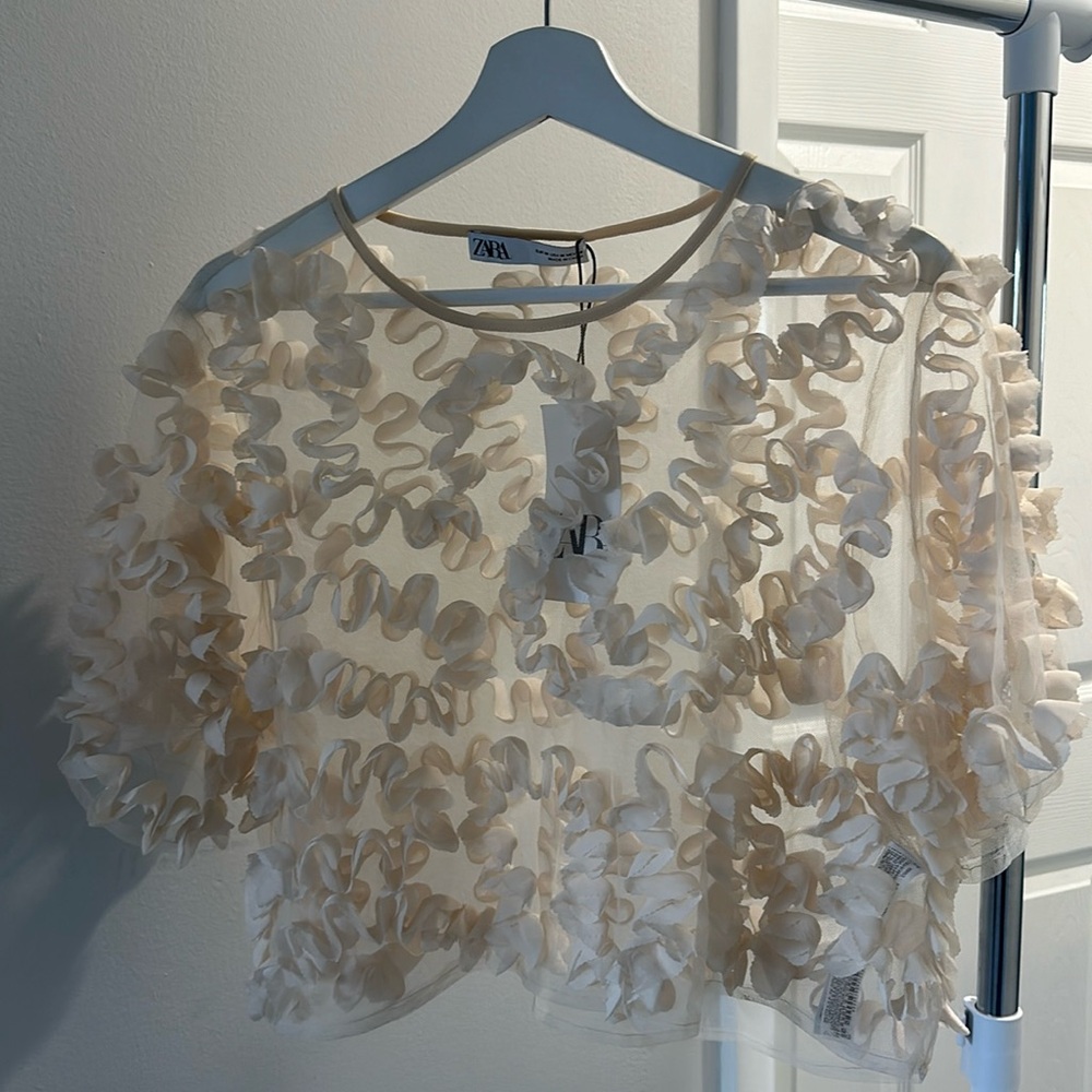 Zara Textured Tulle Top Semi-sheer Top Round Neck Short Sleeve - Picture 2 of 7